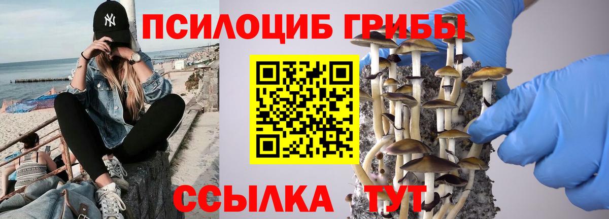 Псилоцибиновые грибы прущие грибы Саратов